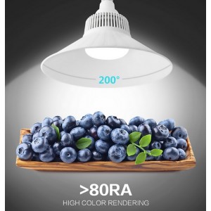 Acheter ampoule industrielle LED de 100W avec culot  E40