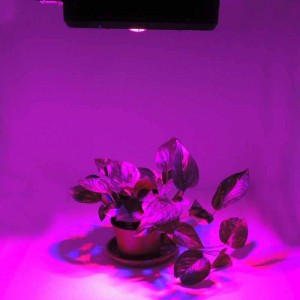 Panneau LED GROW-PRO 135W culture indoor
