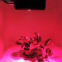 Panneau de culture intelligent GROW-PRO 270 W Panneau de culture intelligent GROW-PRO 270 W