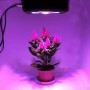 Panneau de culture intelligent GROW-PRO 270 W Panneau de culture intelligent GROW-PRO 270 W