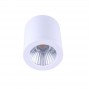 applique LED cob