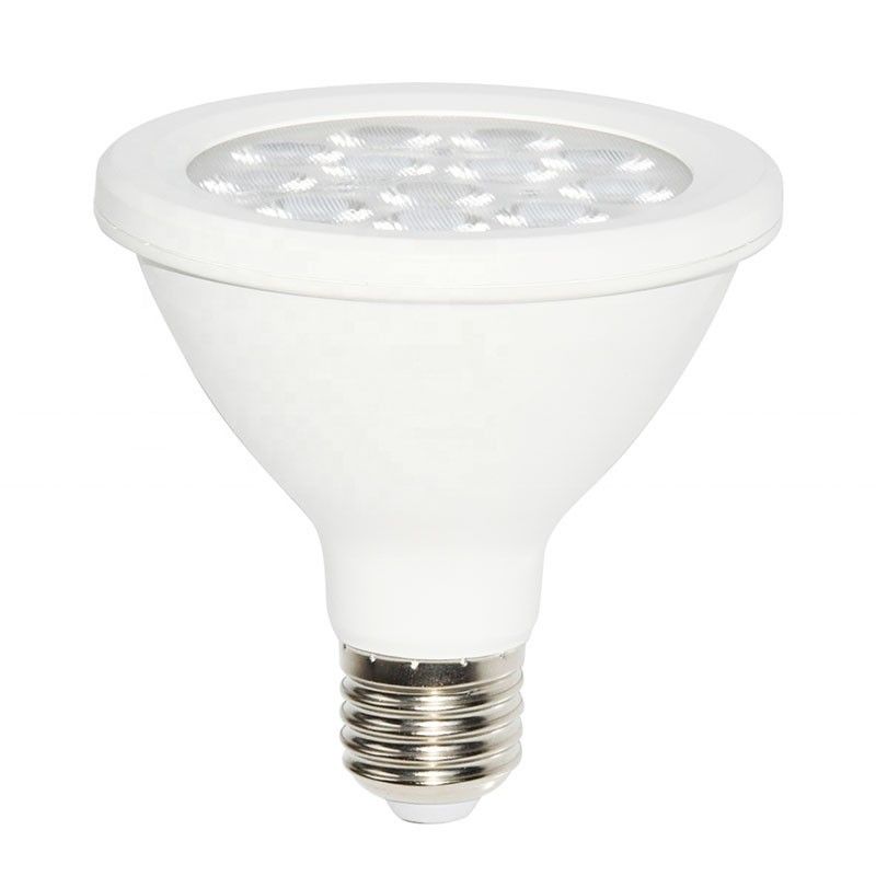 Ampoule LED PAR 38 LED 15W IP65 Éclairage extérieur