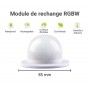 Module de remplacement pour boule lumineuse