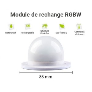 Module de remplacement pour boule lumineuse