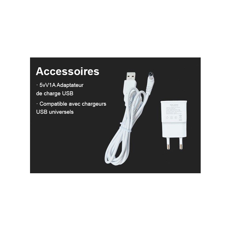 alimentation ki de remplacement pour boule lumineuse