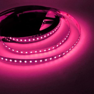 ruban led rose