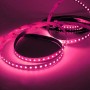 bandeau led rose