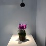 lampe plafond