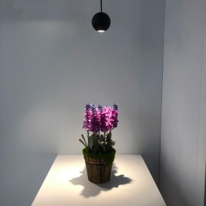 lampe plafond