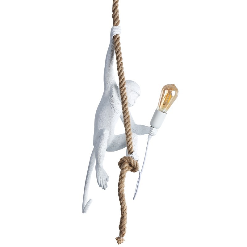 suspension singe suspension singe