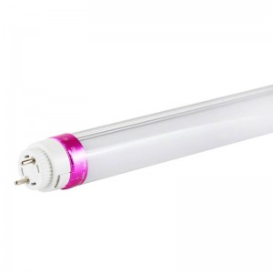 Tube LED T8 10W 600mm spécial Boucherie