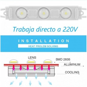 MODULE 2 LEDS GRAND ANGLE 0,96W - Direct Enseignes