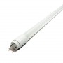 PACK Tube LED T8 60 cm en verre 9W Opale (25 u.) PACK Tube LED T8 60 cm en verre 9W Opale (25 u.)