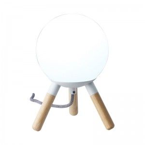 Lampe de table en bois "MOON" ampoule G9 incluse