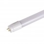 Tube Néon LED T8 24W 150cm