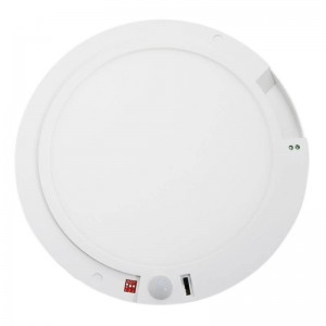 Plafonnier LED Avec Détecteur De Mouvement Et Crépusculaire - 300 Mm Noir, 2 Douilles E27 (max 12W), Portée 8 M, Durée Réglable 10s-6min, IP20, Pour Intérieur