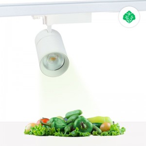 Spot LED triphasé de 30W spécialement conçu pour les primeurs