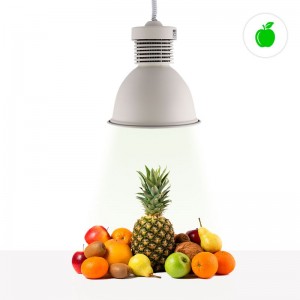 Lumière LED 36W spéciale pour les marchands de fruits et légumes et les épiceries.