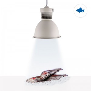Lampe à cloche LED 36W spéciale pour les poissonniers