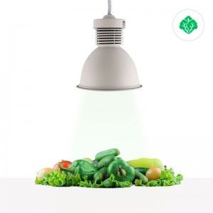 Lampe LED 36W spéciale pour les magasins de fruits et légumes