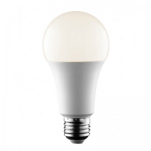 Ampoule LED E27 14W A65