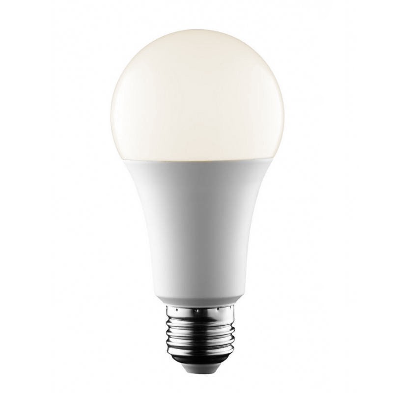 Ampoule LED décorative Diall globe E27 13W=100W blanc neutre