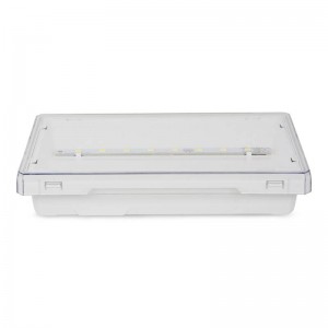 Bloc de secours LED EXIT S 350 lumens IP42 Awex