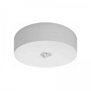 Bloc secours AX N 120 lumens IP42 Awex