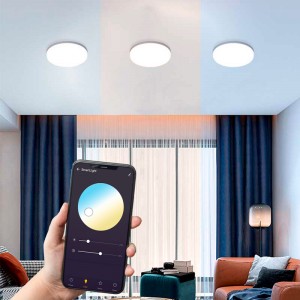 Plafonnier sans fil 300W wifi moderne LED Plafonnier Éclairage à la maison  App Bluetooth Music Light Chambre Lampe Smart Plafonnier Télécommande (Body  Color : AC-220, Size : Changeable) : : Luminaires et Éclairage