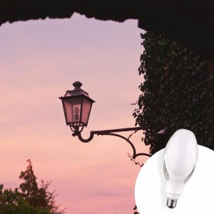 SHUOJIA Ampoule LED Haute Puissance E27 / E40 Lampe D'atelier