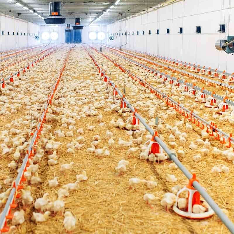 Réglette 120cm Réglette 120cm