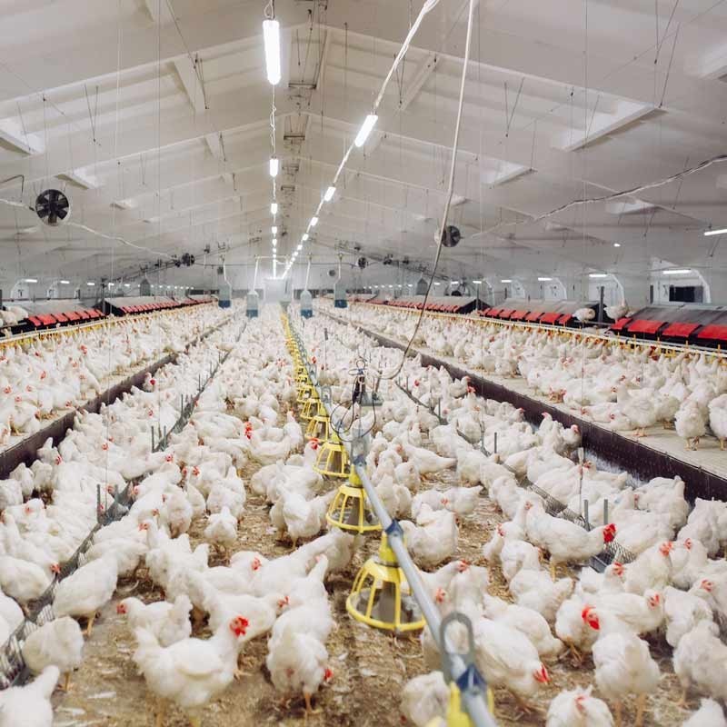 Réglette LED étanche tubulaire 45W IP65 120cm Réglette LED étanche tubulaire 45W IP65 120cm