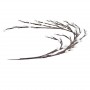 Guirlande LED Branche Arbre 220V BC
