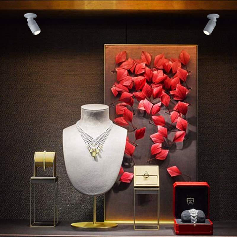 Projecteur idéal pour un éclairage directionnel Projecteur idéal pour un éclairage directionnel