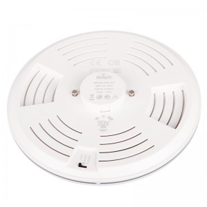 Downlight rond étanche CCT Fumagalli "Teresa 260" 18W IP55