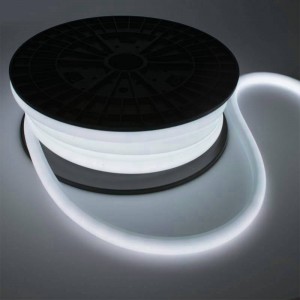Néon flexible 24V IP68 10m