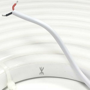 NEON LED FLEXIBLE 24V IP65 UNICOLORE 98CH/M SMD2835 120º 10 MÈTRES (kit  de montage inclus)