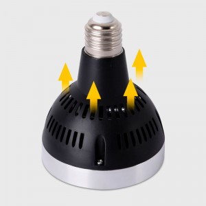 Ampoule LED E27 35W PAR30 2800lm