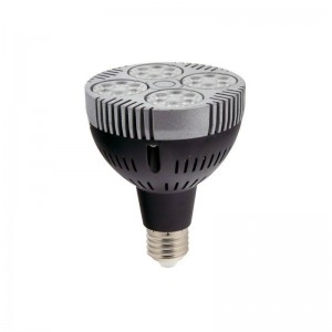 Ampoule LED PAR30 E27