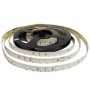 Ruban LED 5M, 24V-DC 100W IP20 Ruban LED 5M, 24V-DC 100W IP20