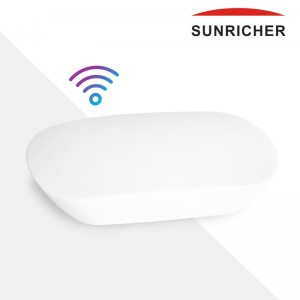 Convertisseur WIFI 12VDC Sunricher Perfect RF/WIFI