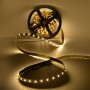 Ruban LED 12V DC 70W SMD2835 IP20 (5 m) Ruban LED 12V DC 70W SMD2835 IP20 (5 m)