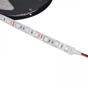 Ruban LED 12V SMD 5050 5M  Ultra Violet