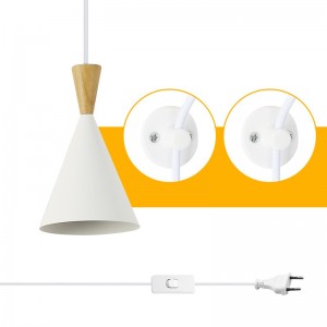 Lampe suspendue avec interrupteur et prise scandinave