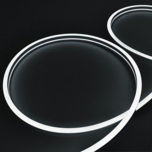 Néon LED flexible