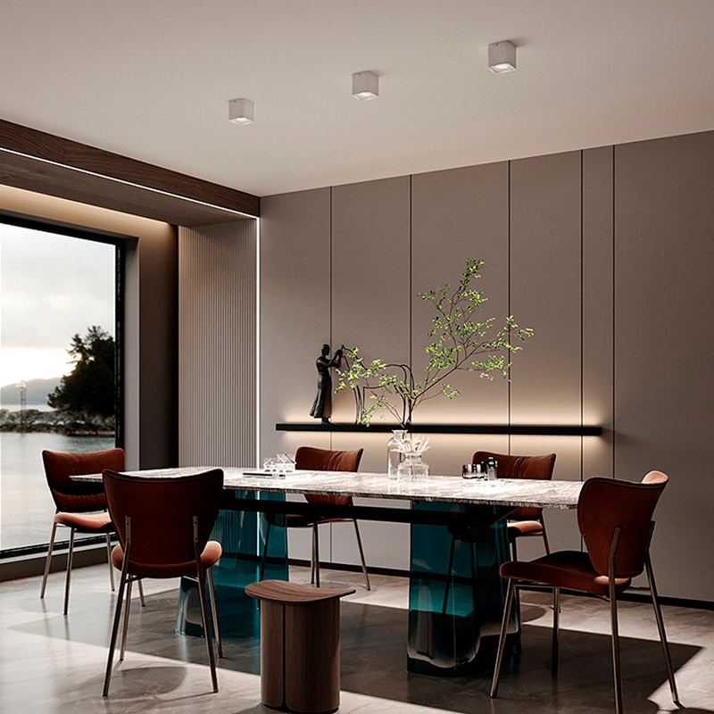 Plafonnier en polycarbonate orientable Plafonnier en polycarbonate orientable