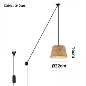 Câble de 240 cm