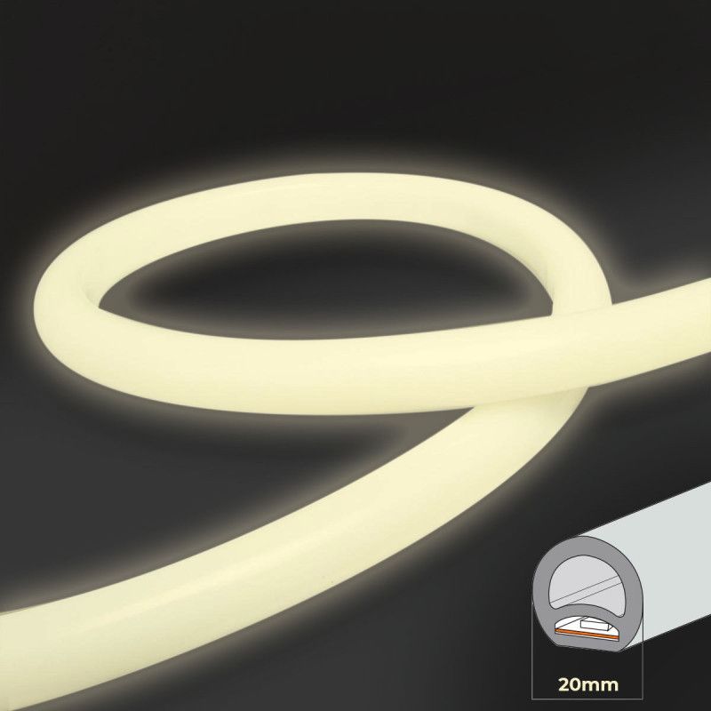 Néon blanc Néon blanc