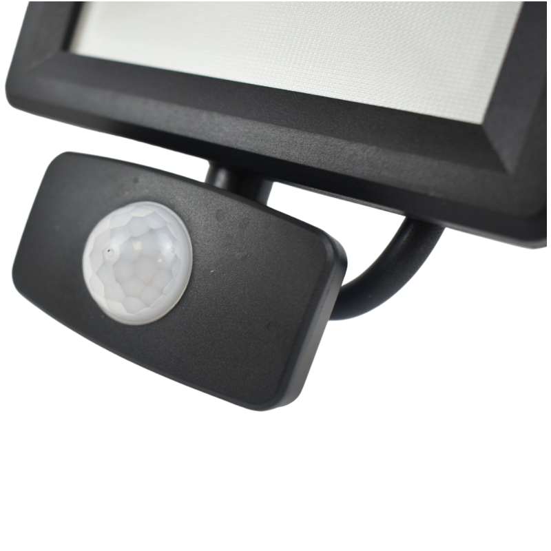 Capteur de présence PIR Capteur de présence PIR