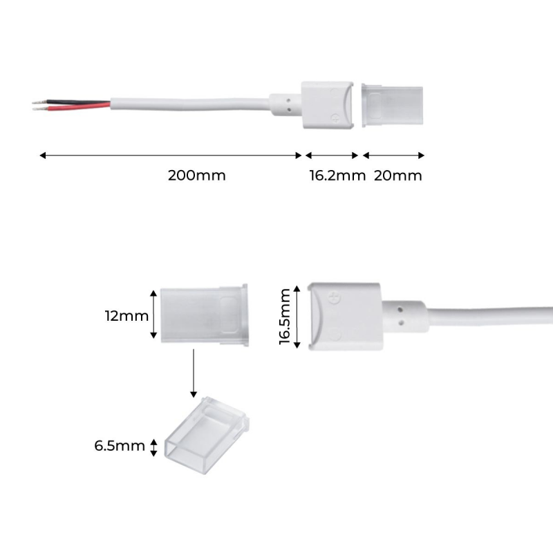 Ledpoint S.r.l.  Connecteur avec fiche M1, câble 2m, pour rubans led COB  et monochromes (PCB 10mm)